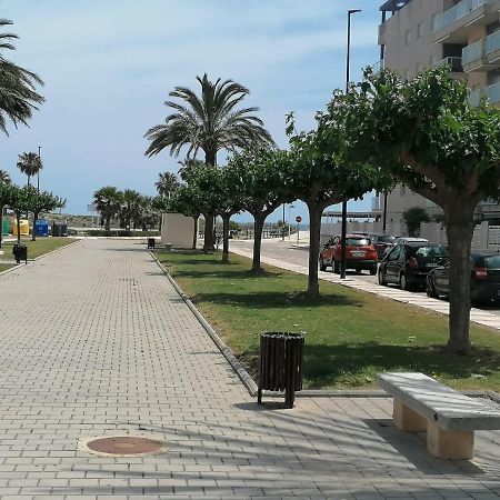 Estudio Con Patio En Daimus Ninos Y Mascotas Consultar Playa de Gandia Zewnętrze zdjęcie